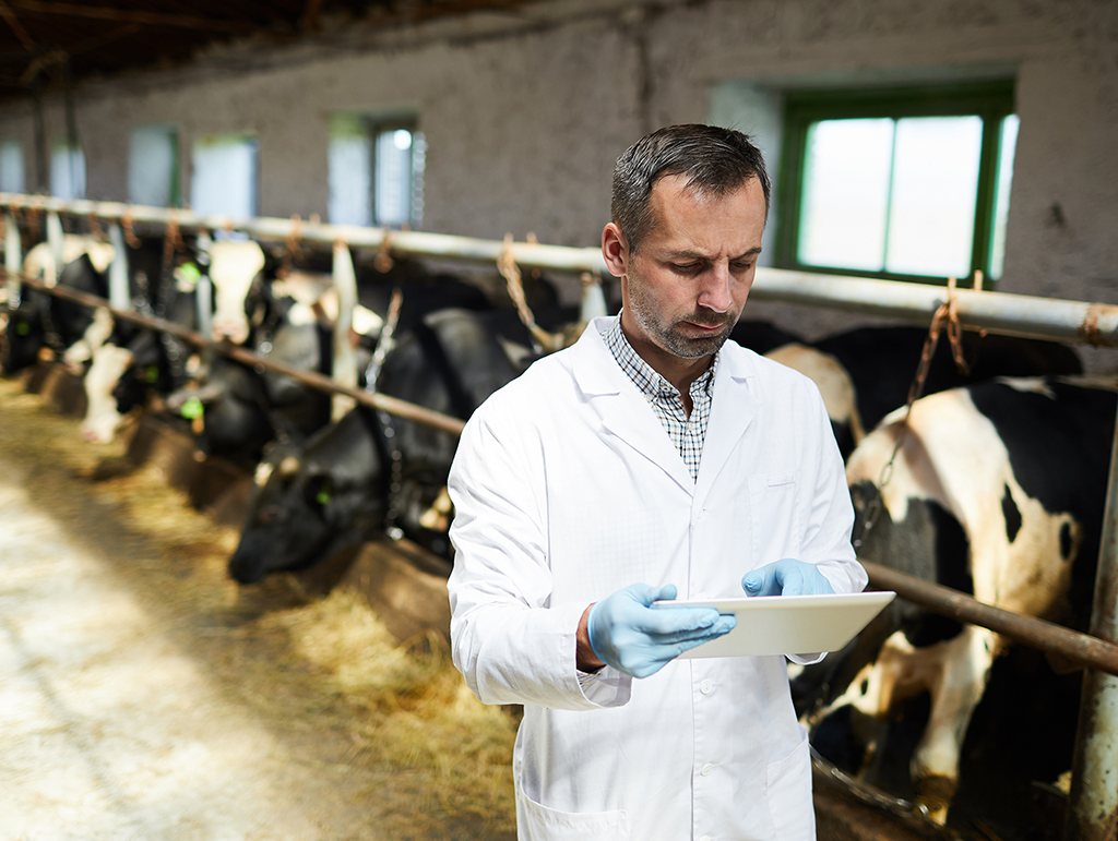 Antibiotic Antibiotic residue testing